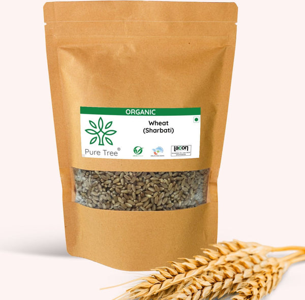 Certified Organic Wheat MP Sehori | Sharbati