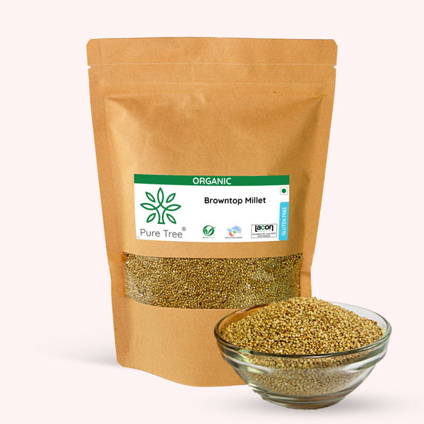 Certified Organic Browntop Millet