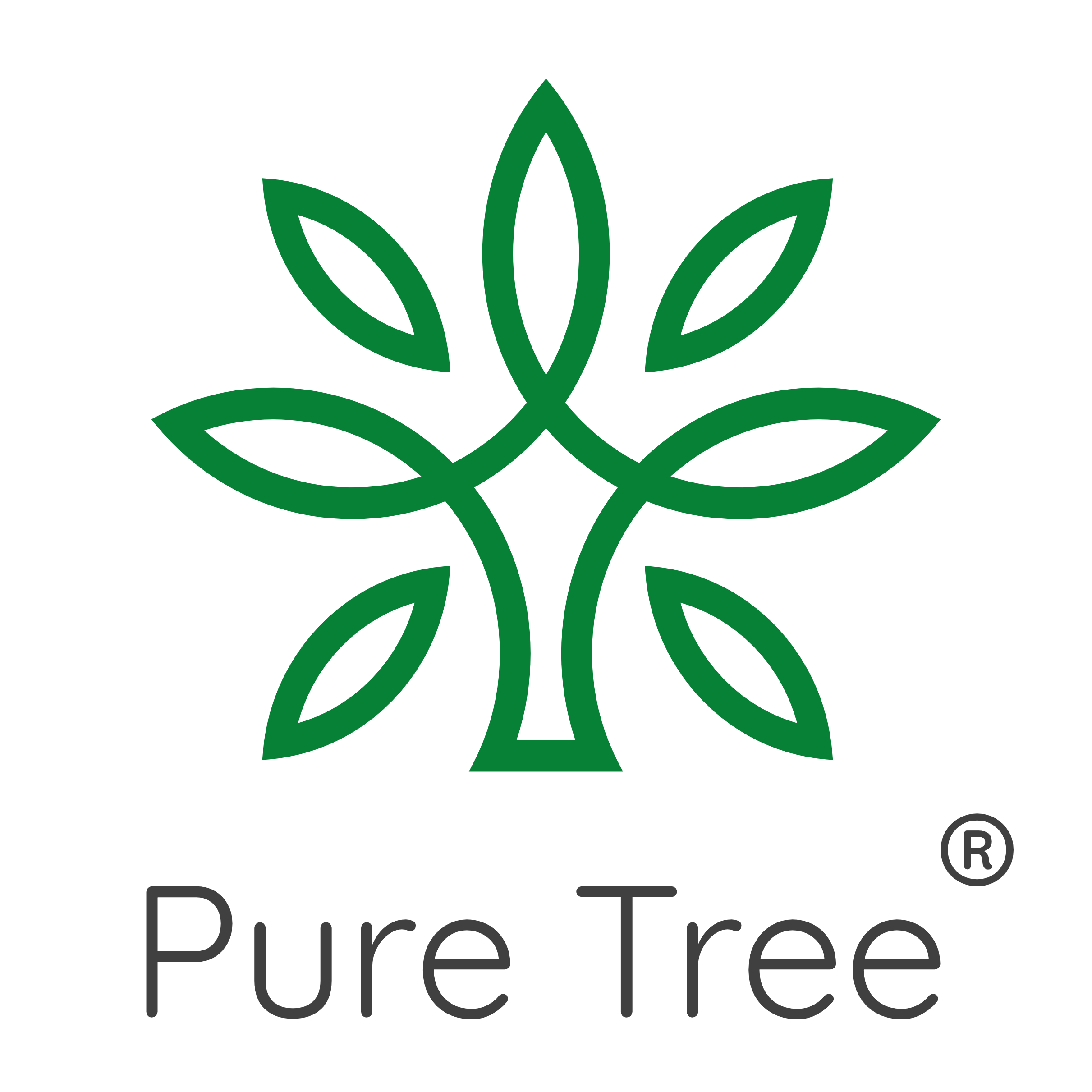 Pure Tree Certified Organic Pulses, Dals & Lentils – Puretree Foods